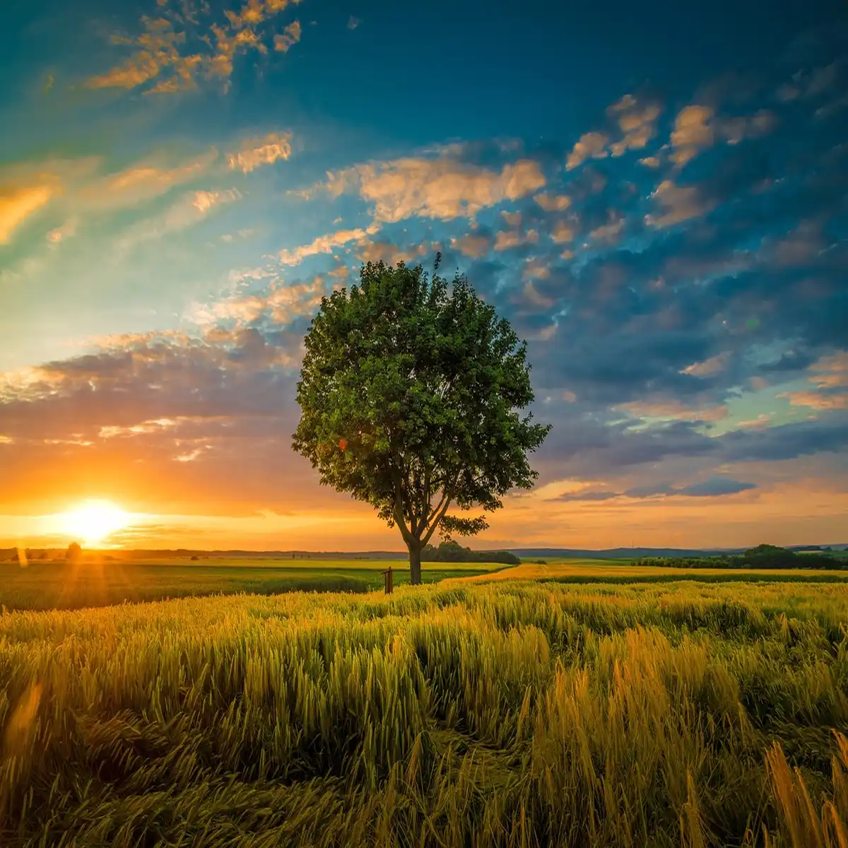Cancer Prevention Lifestyle Changes: 4 Powerful Daily Actions You Can Take Today
