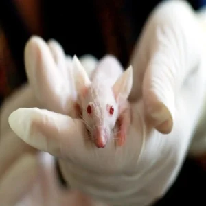RNA-Based Technologies in Medicine: Revolutionizing Healthcare with Transformative Innovations