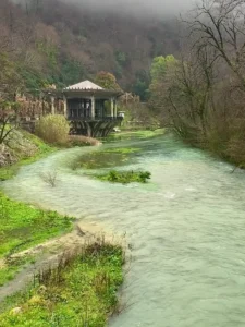 healingsnature.com