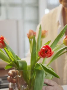healingsnature.com